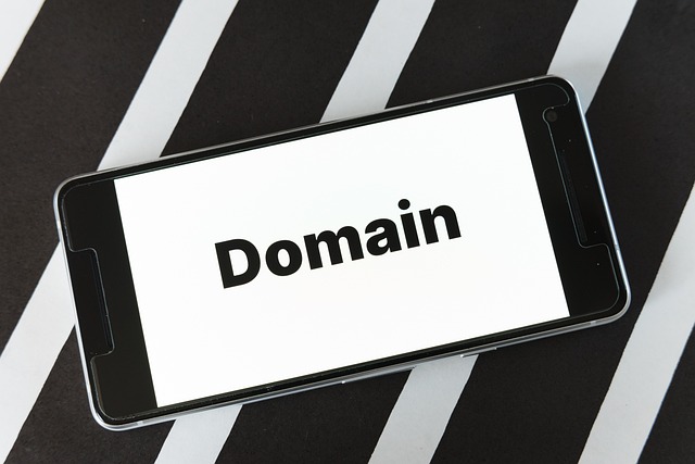Czym jest domena? – wszystko, co musisz wiedzieć o znaczeniu domeny
